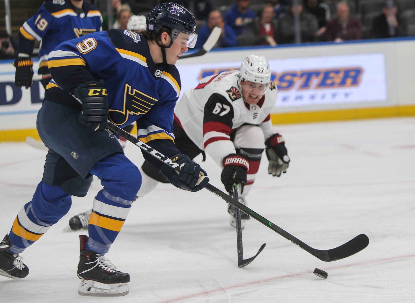 Blues take on the Coyotes